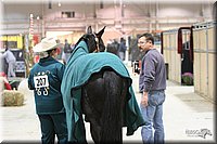 4H-State-Show-2005-0056.jpg