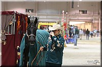 4H-State-Show-2005-0059.jpg