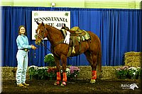 4H-State-Show-2005-0307.jpg