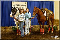 4H-State-Show-2005-0311.jpg