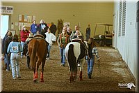 4H-State-Show-2005-0315.jpg