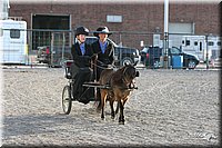 4H-State-Show-2005-0342.jpg