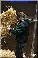 4H-State-Show-2005-0346.jpg