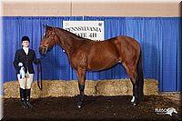 4H-State-Show-2005-0377.jpg