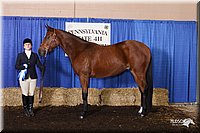 4H-State-Show-2005-0378.jpg