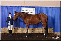 4H-State-Show-2005-0379.jpg