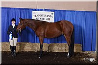 4H-State-Show-2005-0380.jpg