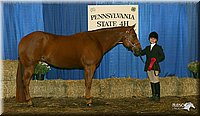 4H-State-Show-2005-0641.jpg