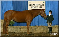 4H-State-Show-2005-0642.jpg