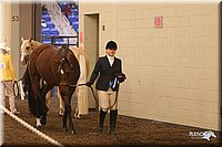 4H-State-Show-2005-1158.jpg