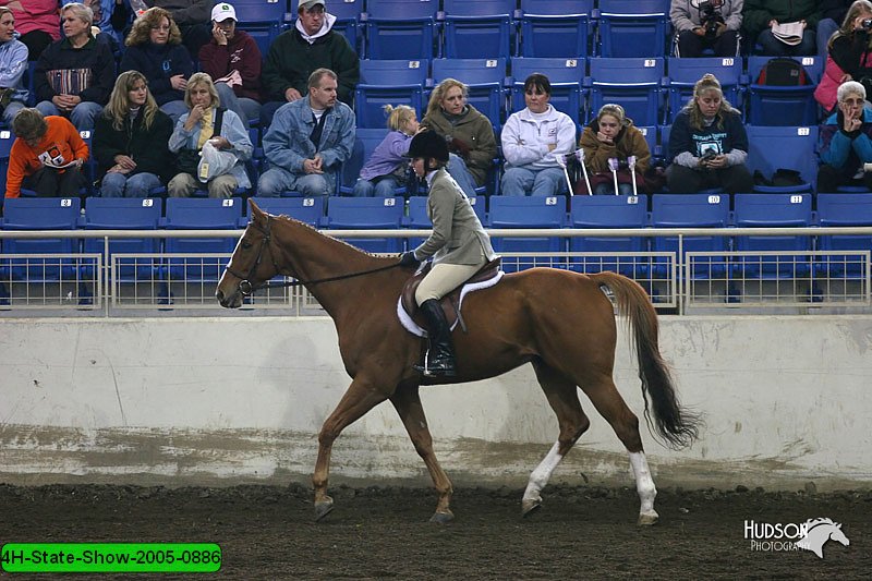 4H-State-Show-2005-0886.jpg