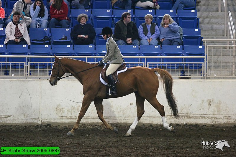 4H-State-Show-2005-0887.jpg