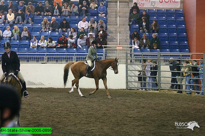 4H-State-Show-2005-0895.jpg