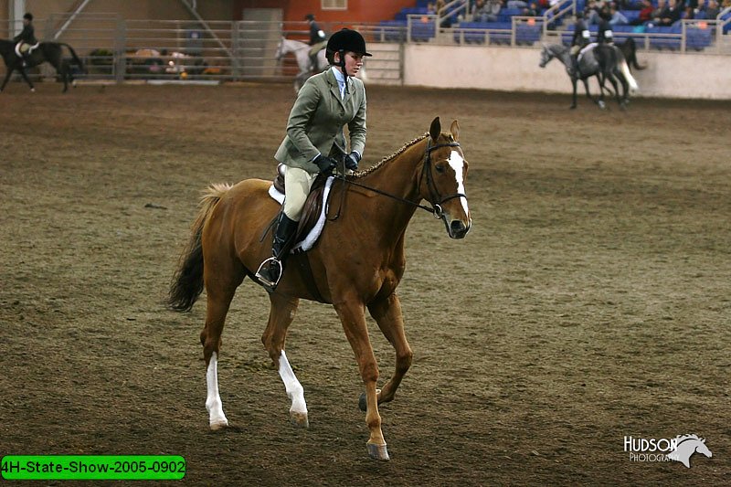 4H-State-Show-2005-0902.jpg