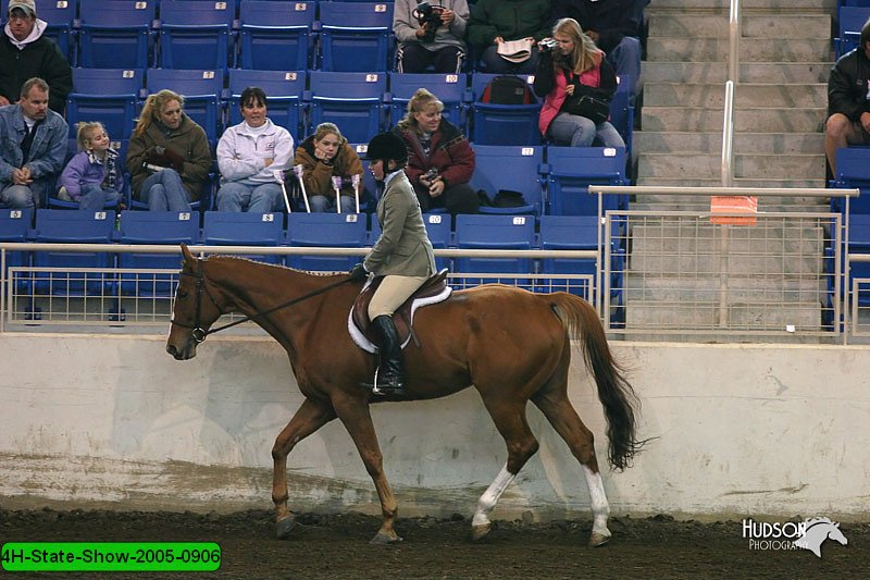 4H-State-Show-2005-0906.jpg