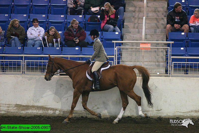 4H-State-Show-2005-0907.jpg