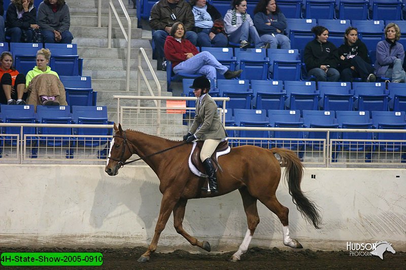 4H-State-Show-2005-0910.jpg