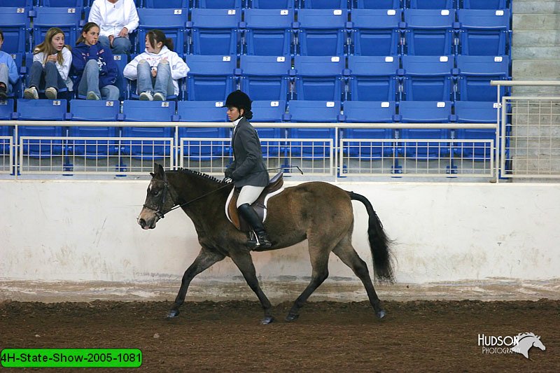 4H-State-Show-2005-1081.jpg