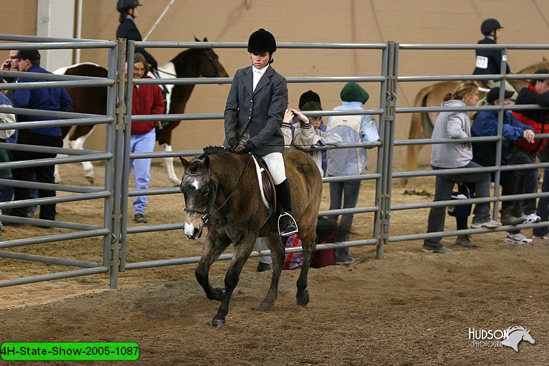 4H-State-Show-2005-1087.jpg