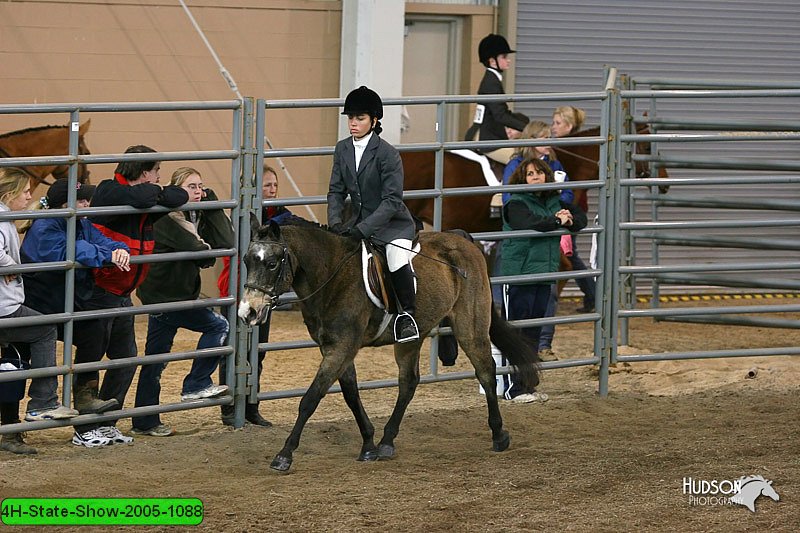 4H-State-Show-2005-1088.jpg