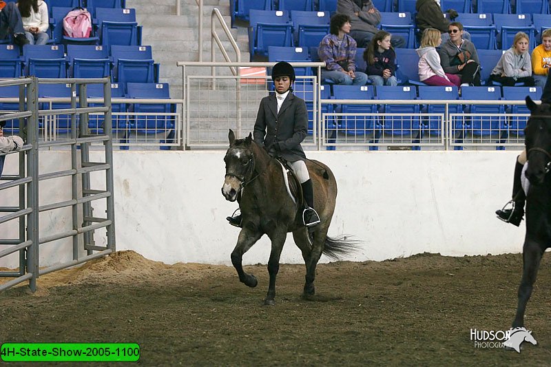 4H-State-Show-2005-1100.jpg