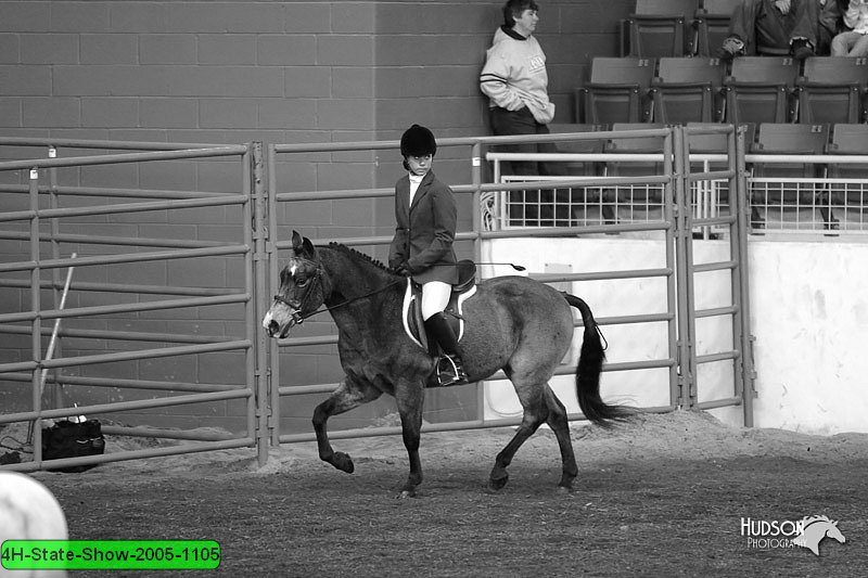 4H-State-Show-2005-1105.jpg