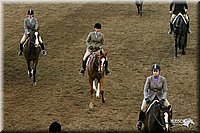 4H-State-Show-2005-0894.jpg