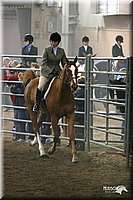 4H-State-Show-2005-0899.jpg