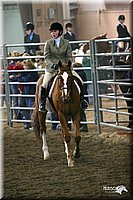 4H-State-Show-2005-0900.jpg