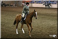 4H-State-Show-2005-0902.jpg