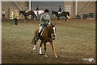 4H-State-Show-2005-0903.jpg