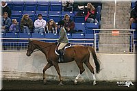 4H-State-Show-2005-0906.jpg