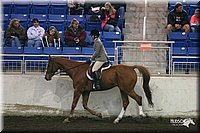 4H-State-Show-2005-0907.jpg