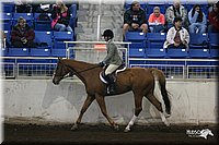 4H-State-Show-2005-0908.jpg