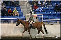 4H-State-Show-2005-0909.jpg