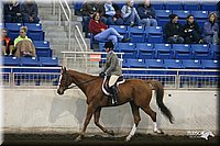 4H-State-Show-2005-0910.jpg