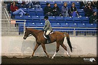 4H-State-Show-2005-0911.jpg