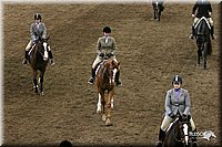 4H-State-Show-2005-0916.jpg