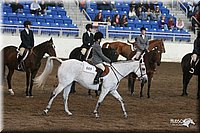 4H-State-Show-2005-0969.jpg