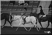 4H-State-Show-2005-0982.jpg