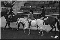 4H-State-Show-2005-0984.jpg