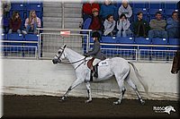 4H-State-Show-2005-1000.jpg