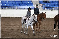 4H-State-Show-2005-1014.jpg