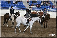 4H-State-Show-2005-1019.jpg