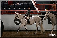 4H-State-Show-2005-1028.jpg