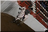 4H-State-Show-2005-1033.jpg