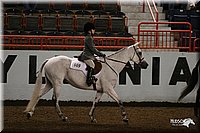 4H-State-Show-2005-1038.jpg