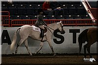 4H-State-Show-2005-1042.jpg