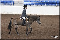 4H-State-Show-2005-1065.jpg