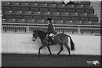 4H-State-Show-2005-1066.jpg